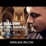 J Balvin - Como Un Animal